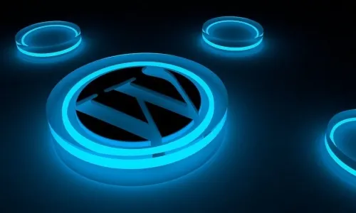 WordPress Eklentileri Ne İşe...