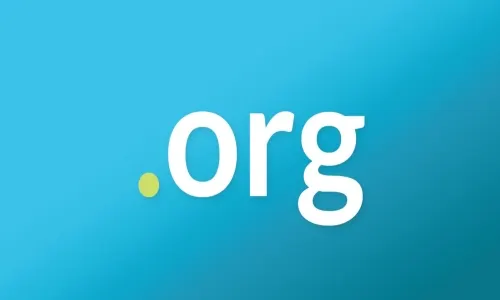 ORG Uzantılı Domain Nedir? K...