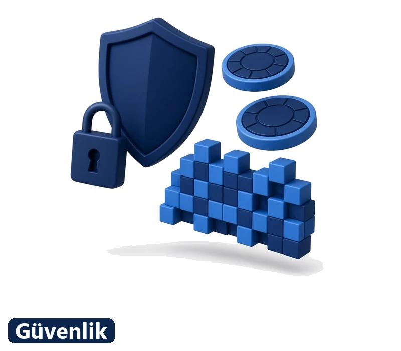 Hosting Nedir?